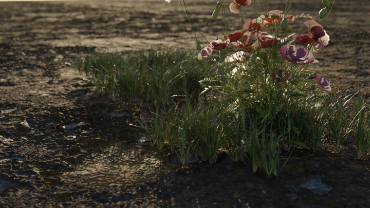 flowers