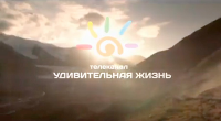 Промо - октябрь 2014