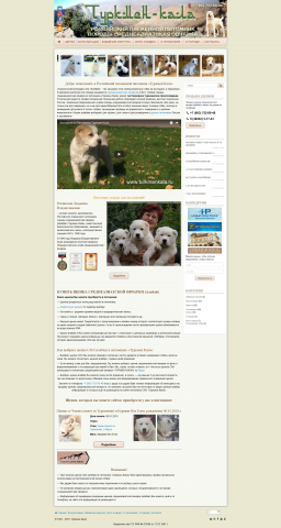 Перенос сайт с самописного движка на WP + адаптивный дизайн