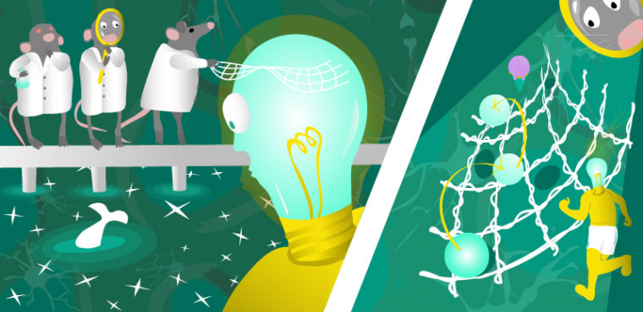 разгружающая иллюстрация 2