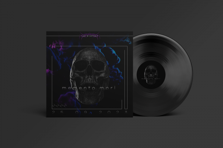 Vinil