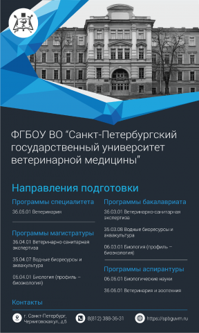 Баннер презентация