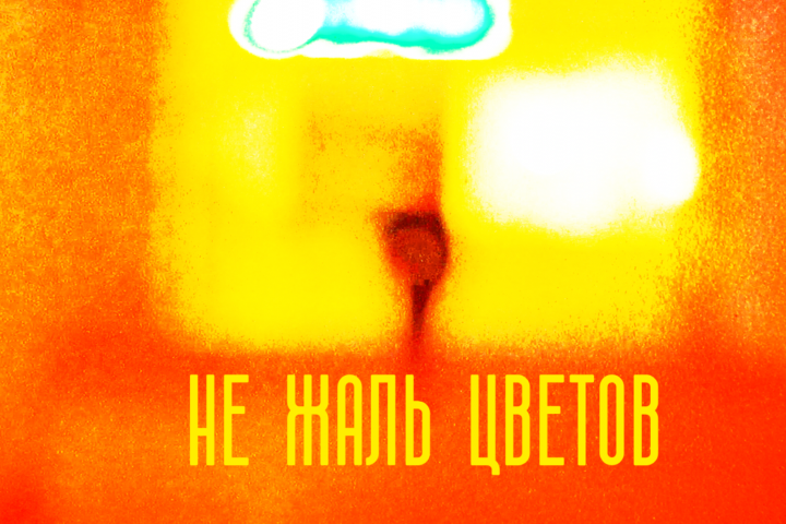 Не жаль цветов