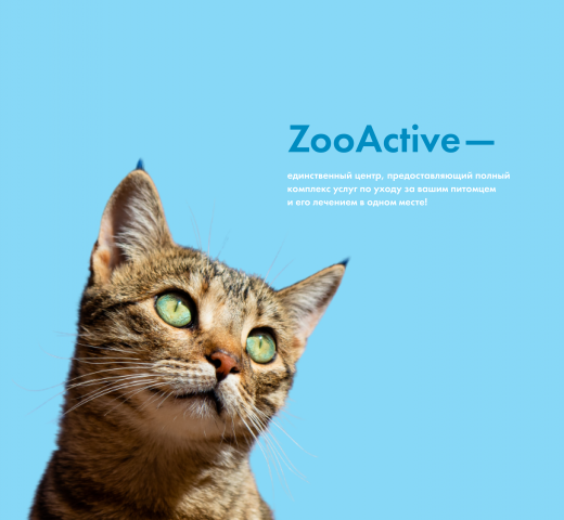 Сайт для ветеринарной клиники