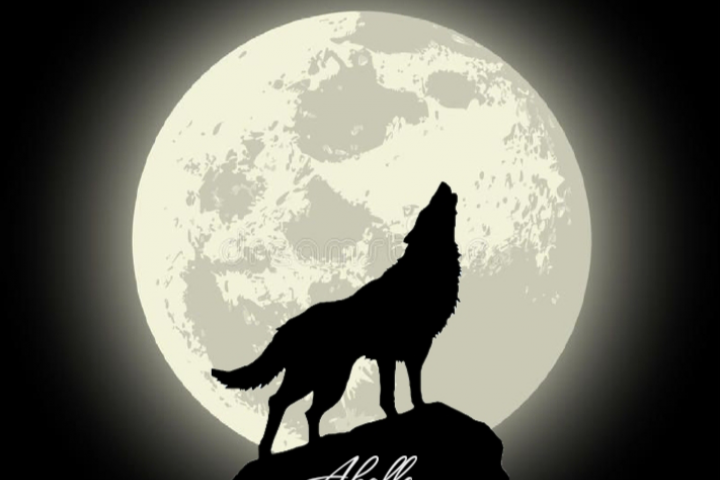 Переработка лого для компании "Акелла"