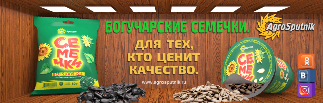 Наклейка на кузов авто