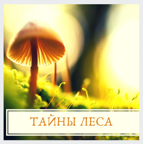 Баннеры для постов в соц.сети