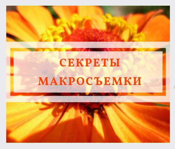 Баннеры для постов в соц.сети
