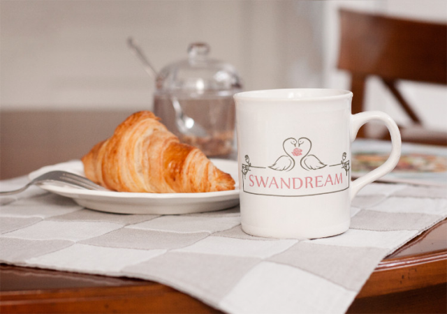 Swandream