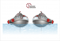 Работа 755545