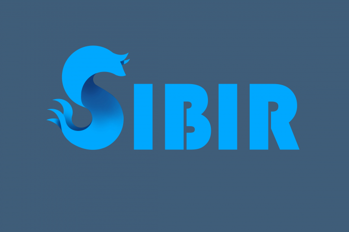 Логотип "SIBIR"