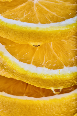 Работа 3552849