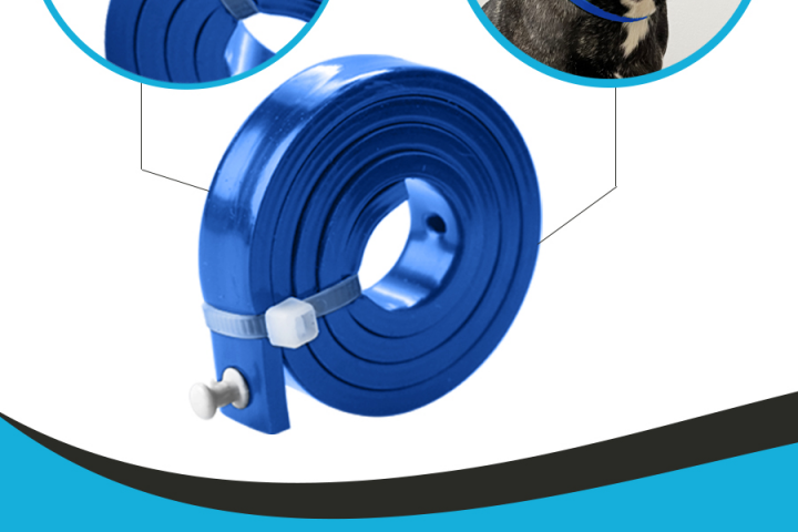 Текст описание товара для зоо интернет магазина