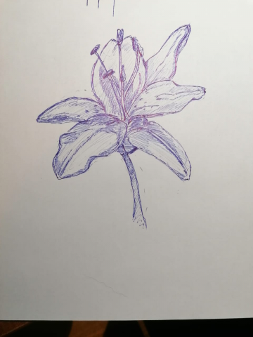 Лилия
