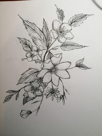 Работа 4087841