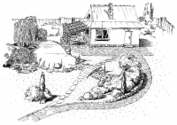 Серия статей о ландшафтном дизайне