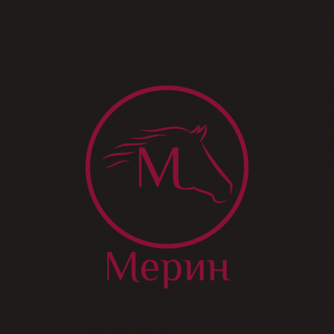 Мерин
