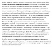 SEO тексты