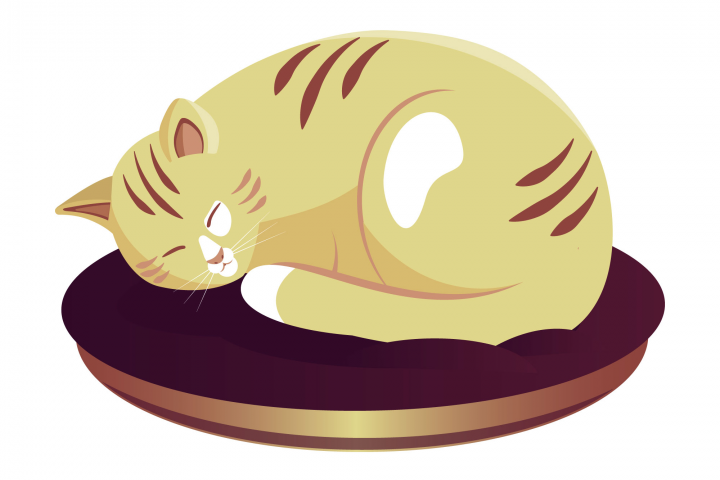 Котик
