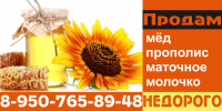 Работа 2254742