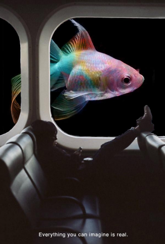 Реальность