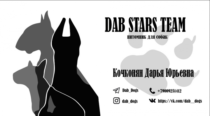 Визитка питомника для собак