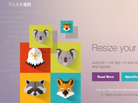 Thumber (под ключ)