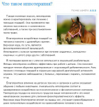 Иппотерапия