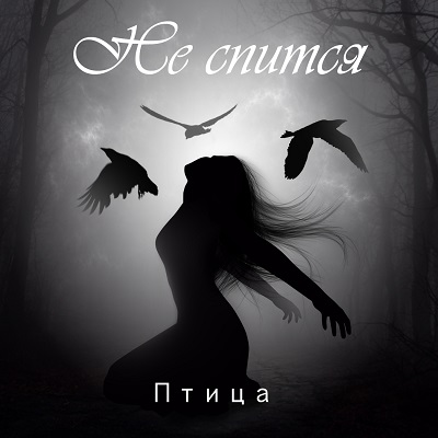Группа "Не спится"