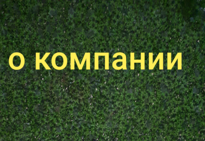 Сила красоты Ив Роше – сила растений