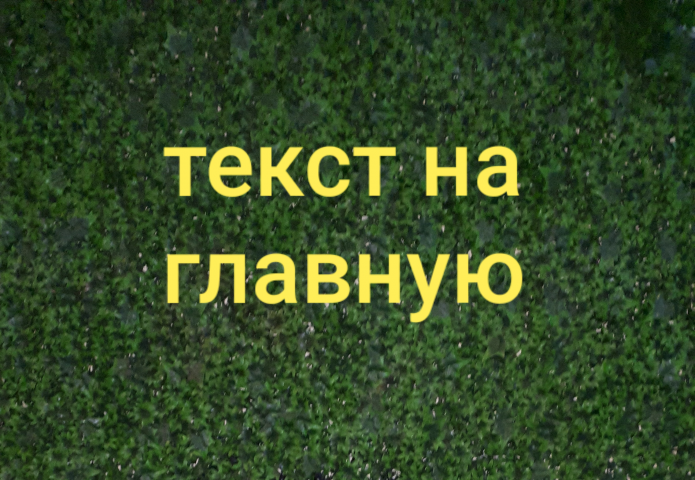 YVES ROCHER – интернет-магазин растительной косметики