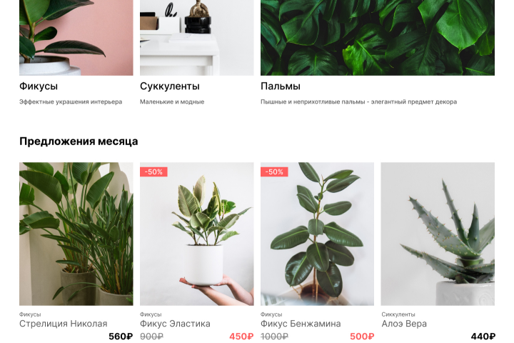 Дизайн сайта