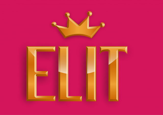 Логотип Elit малиновый фон