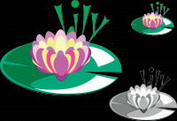 Lily кувшинка