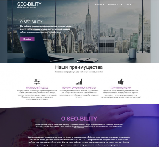 Сайт для Интернет компании по Seo продвижению "Seo-bility"