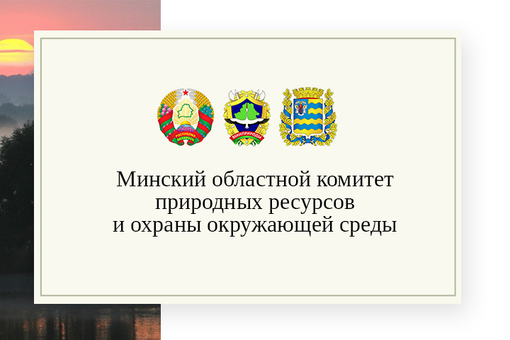 Сайт государственной организации