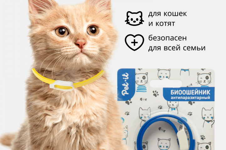 Баннер на маркетплейсе.