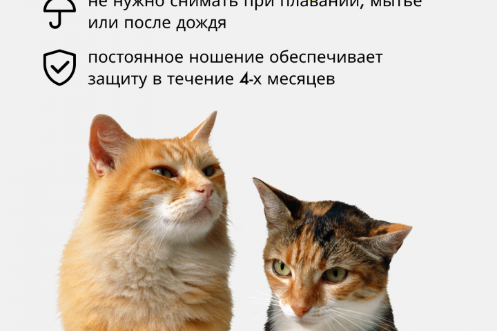 Баннер на маркетплейсе.