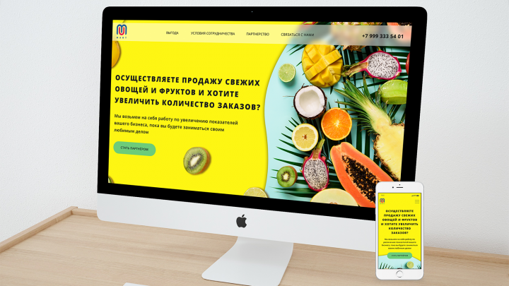 лендинг партнеров МП продажа овощей/фруктов (реальный проект)