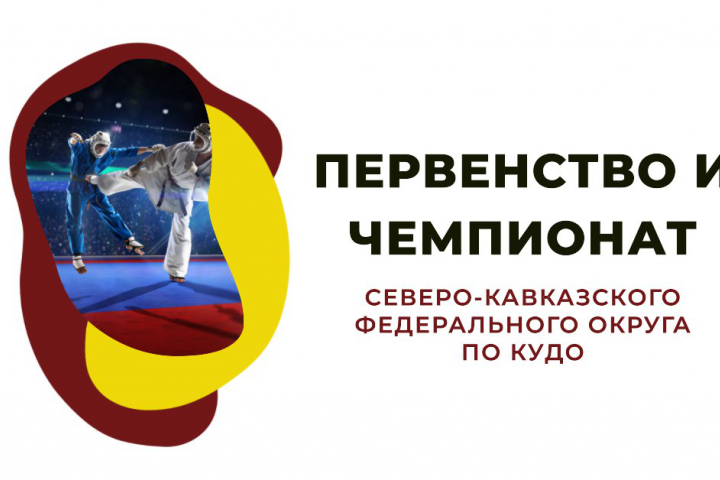 Баннер Кудо для краевых соревнований