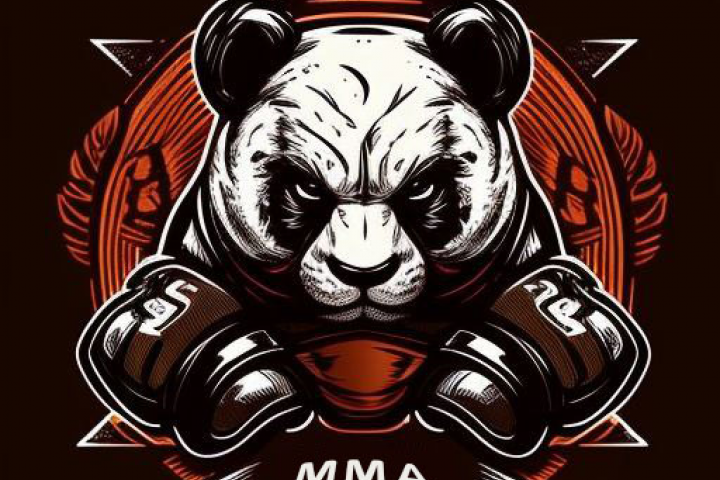 клуб ММА по Кудо