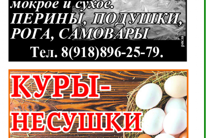 покупаем