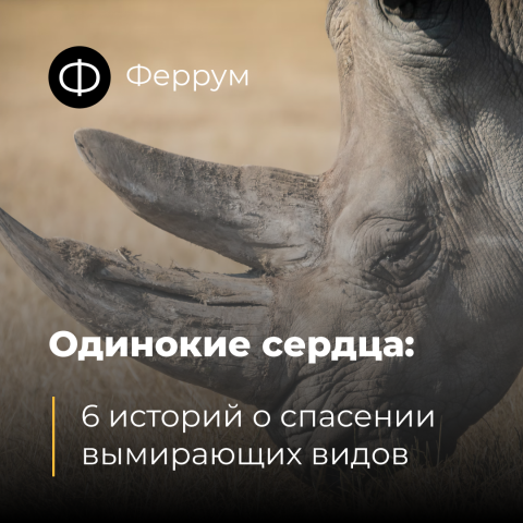 Пост для инстаграм