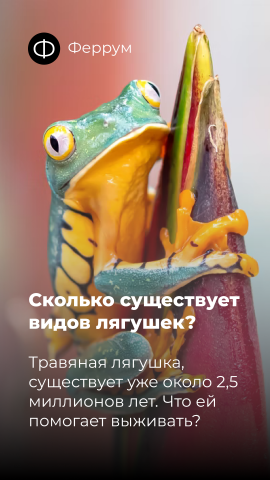 Оформление поста для фейсбук