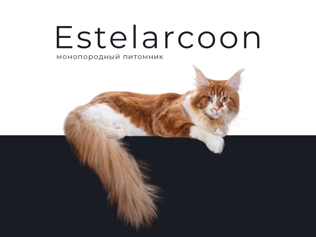 Estelar
