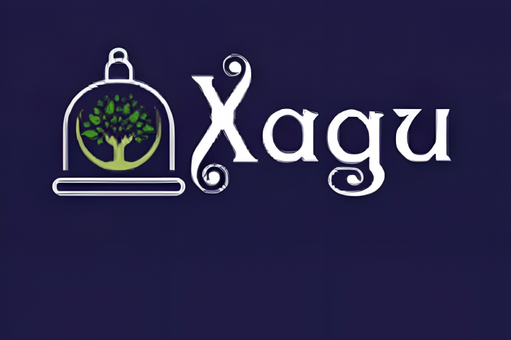 Сайт сделанный в программе Tilda. "Хади"