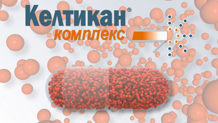 Кэлтикан Комплекс