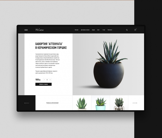 Сайт "Mr.Cactus"