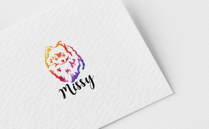 Логотип «MISSY»