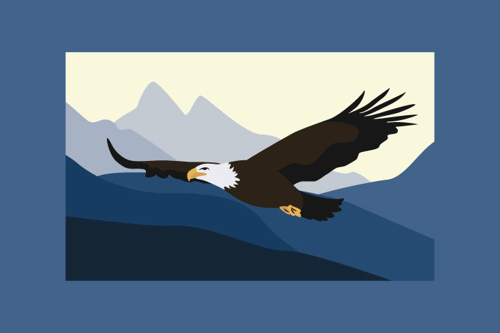 Информационный ролик